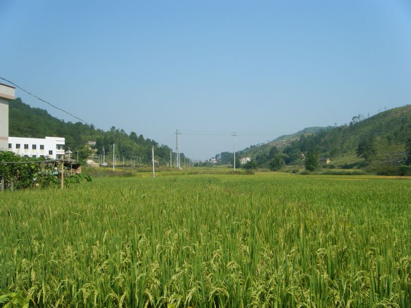 DSCF8640.JPG