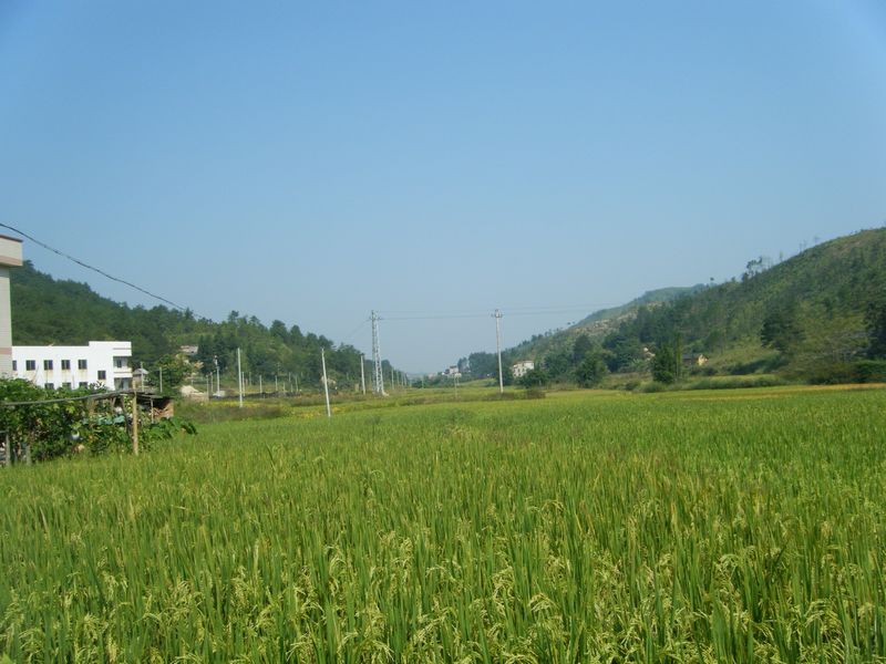 DSCF8643.JPG
