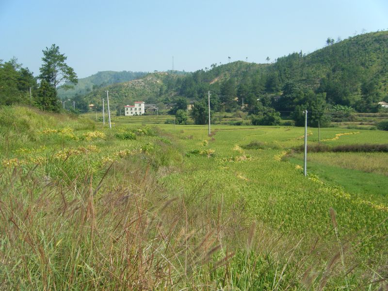 DSCF8651.JPG