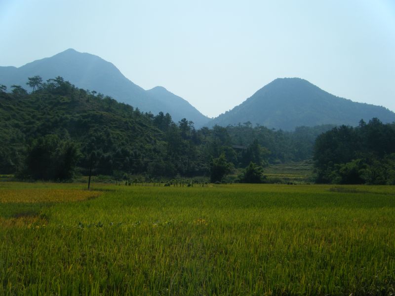 DSCF8662.JPG