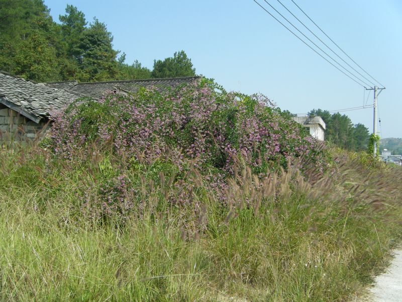 DSCF8675.JPG