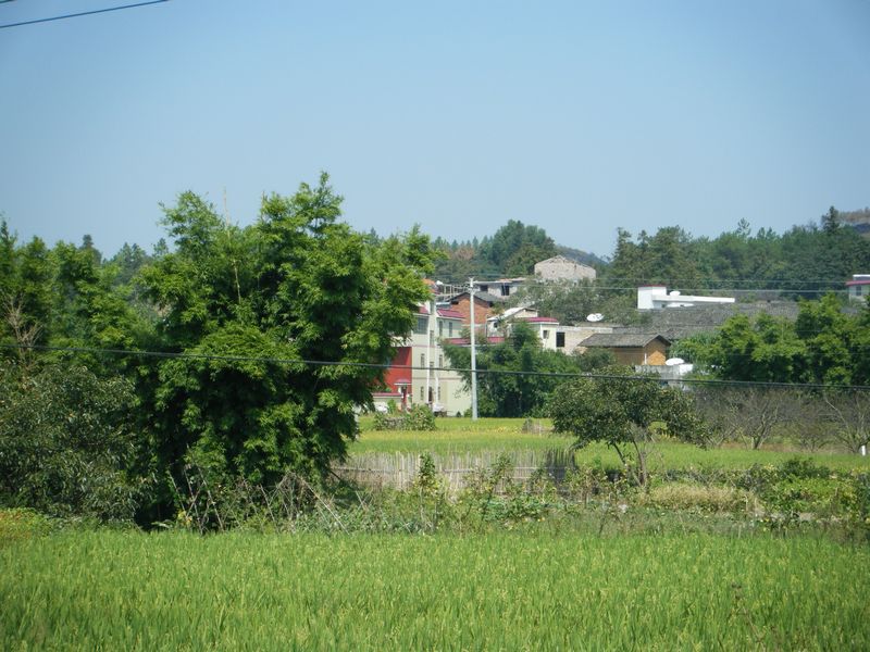 DSCF8679.JPG
