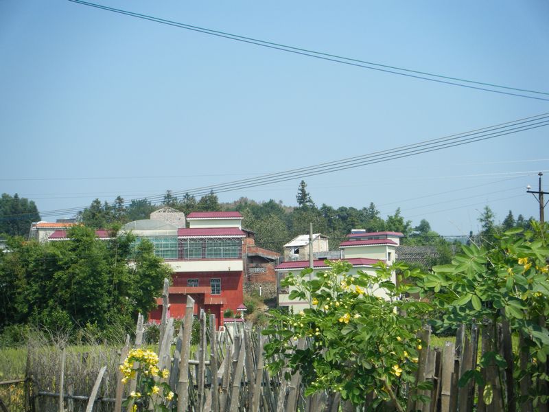 DSCF8680.JPG