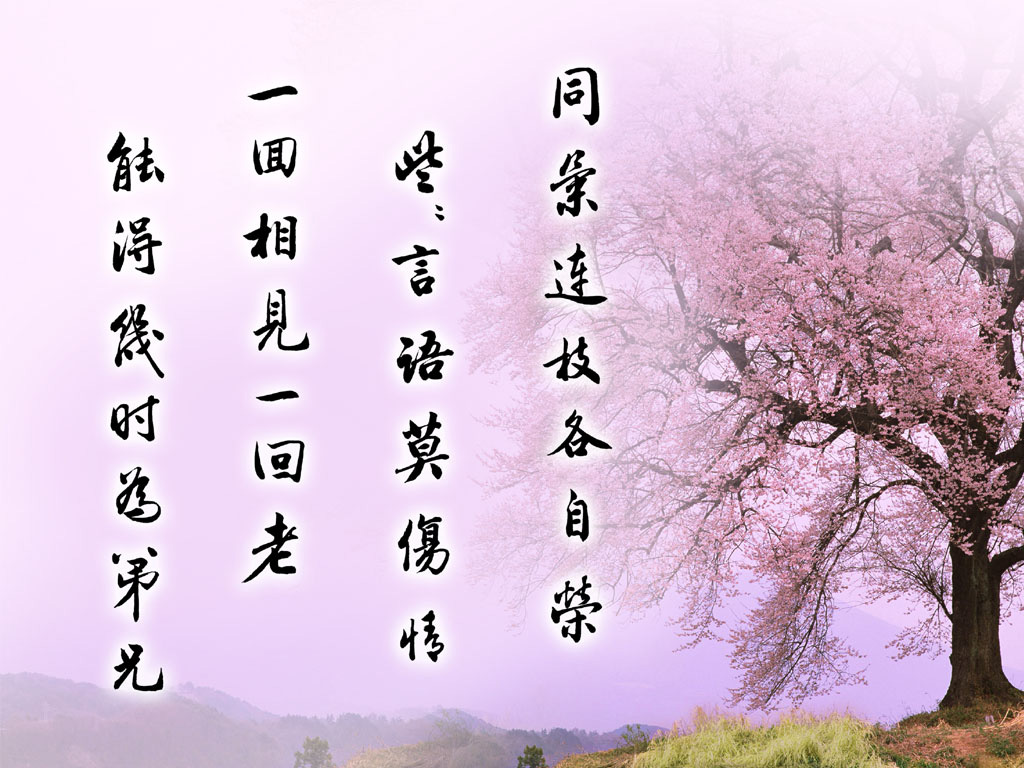ͬҶ֦.jpg