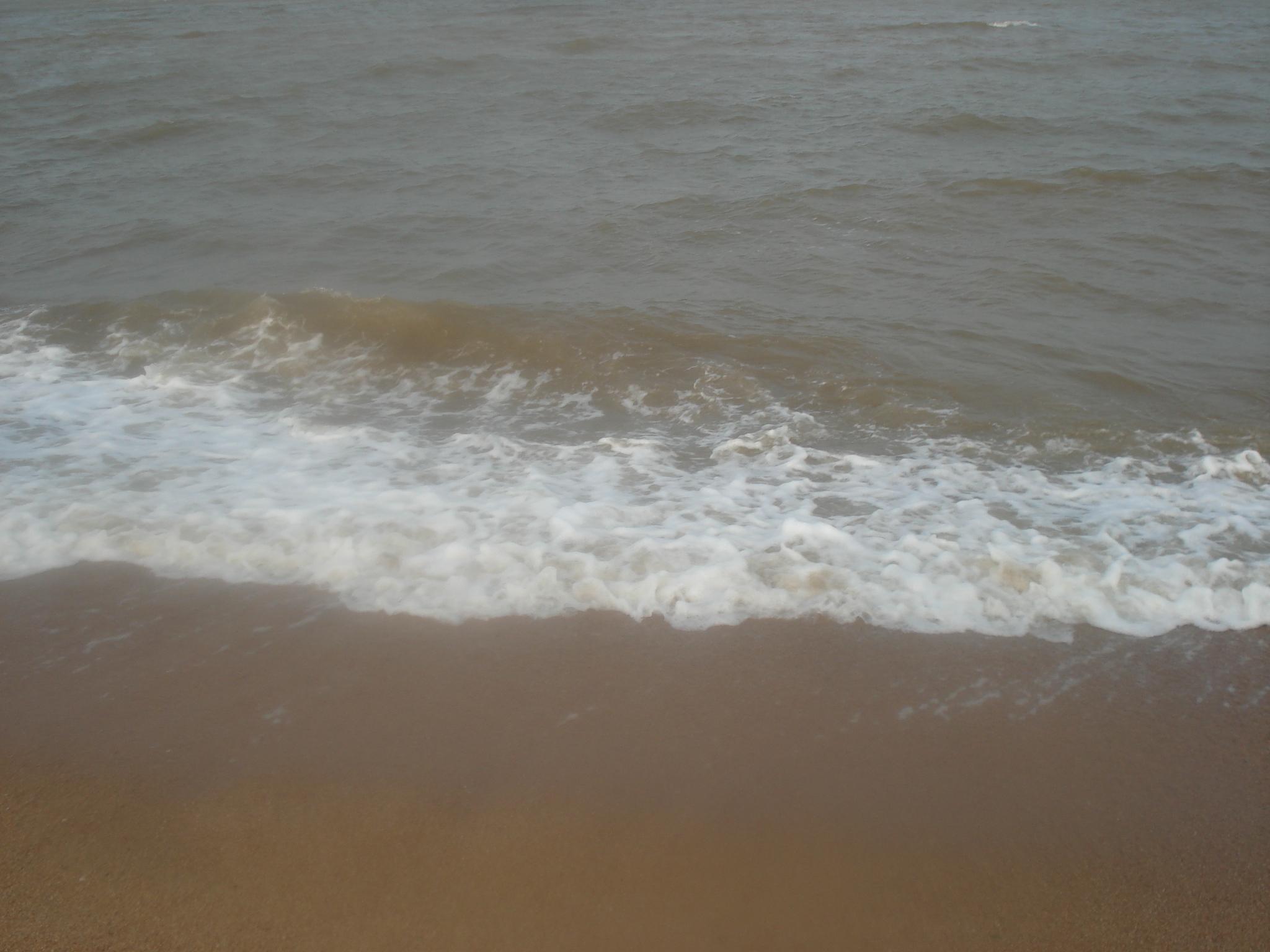DSC07452.JPG