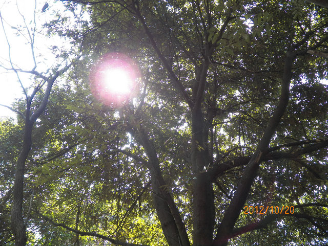 100_0910.JPG