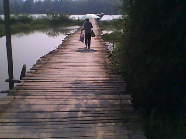 IMG0662A.jpg