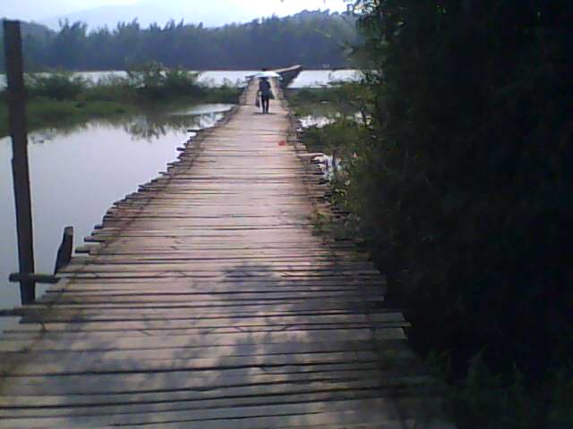 IMG0663A.jpg