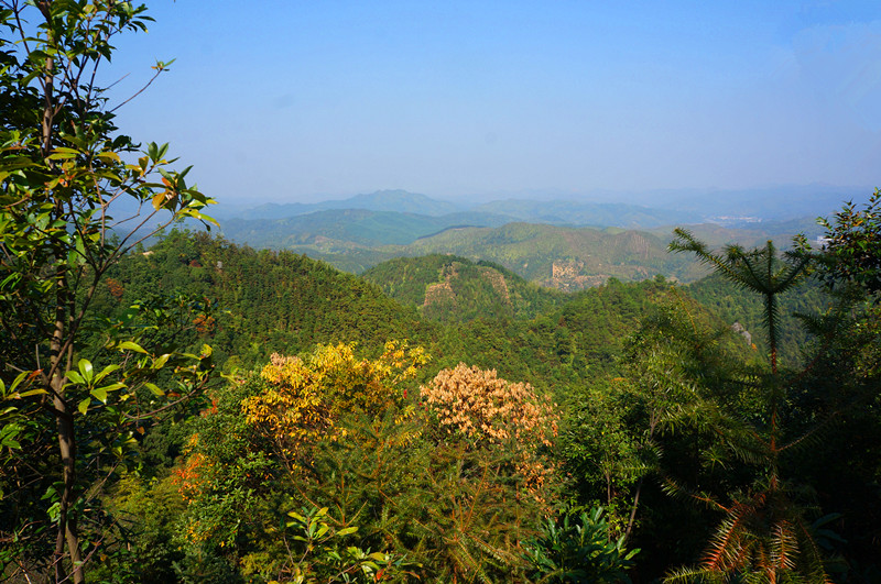 DSC06402.jpg