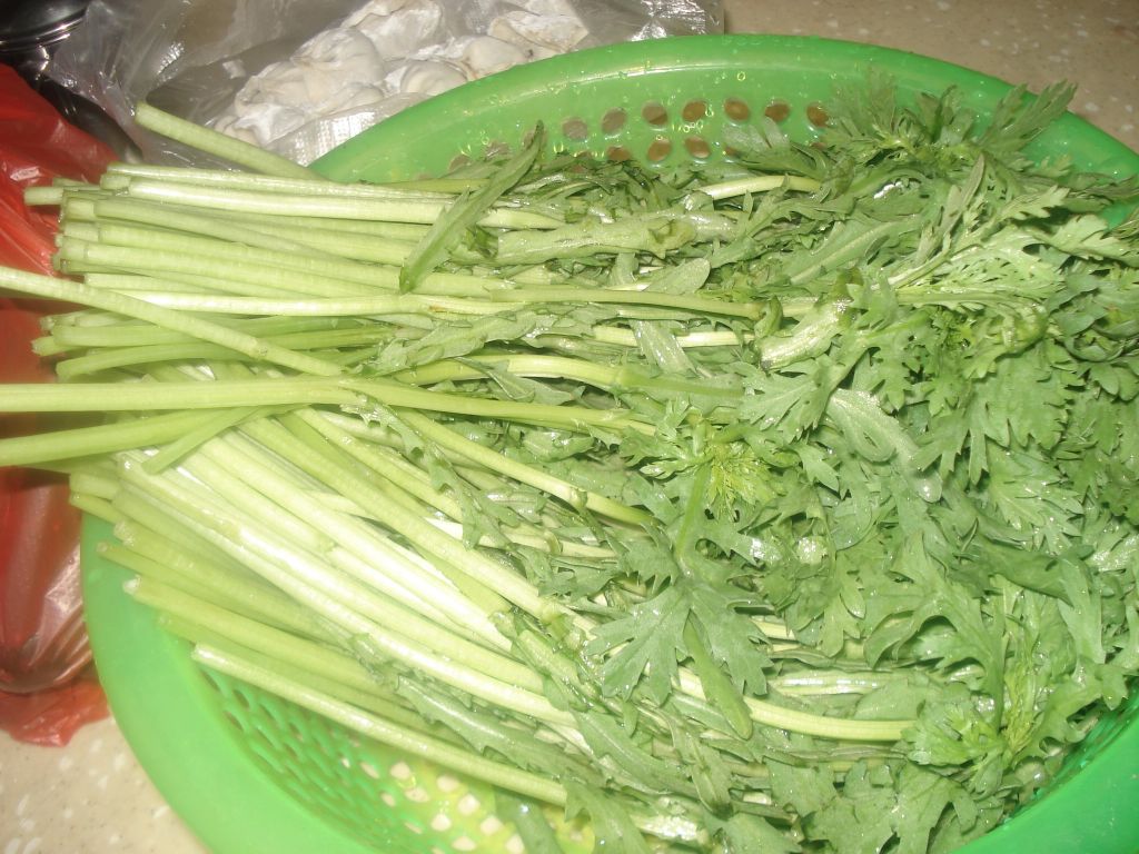 DSC07686.JPG