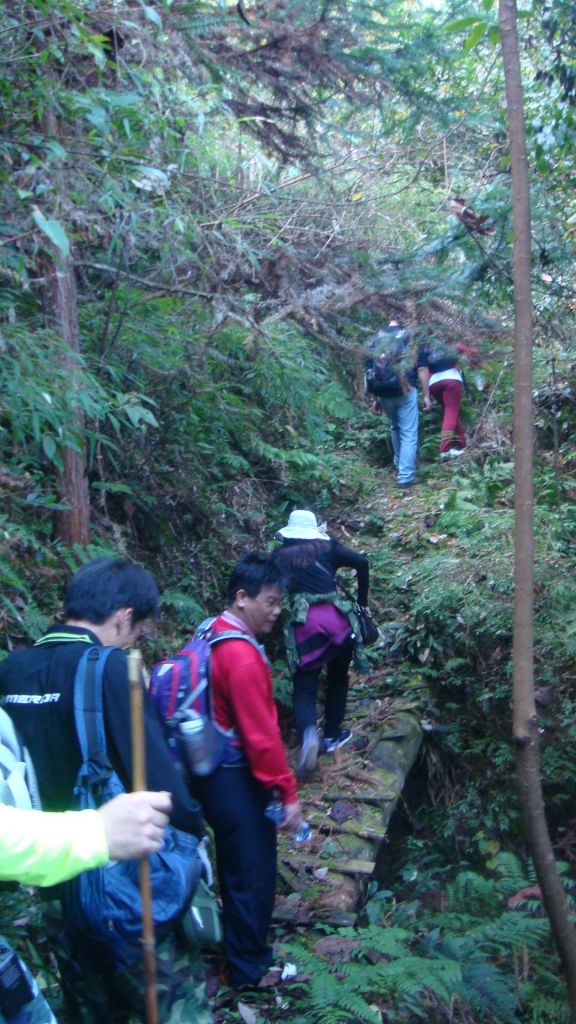 DSC07083.JPG