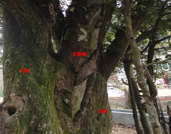 59BZ])JJW@@YA]}ZDMGHD%7.jpg