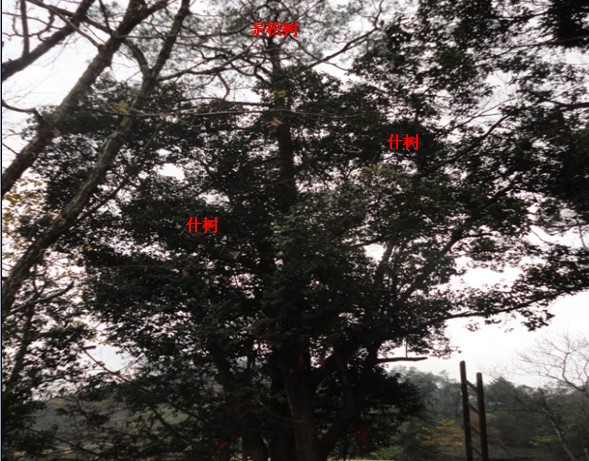 EH]1GYE}CU$~)7MVYSFBHRQ.jpg