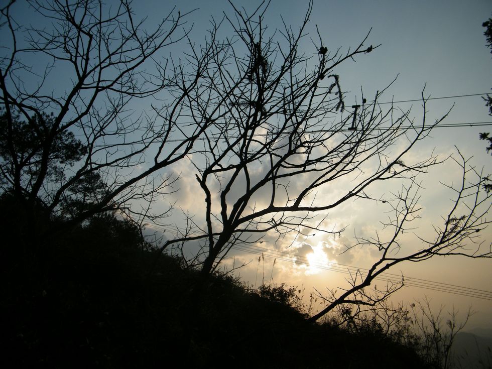 DSCF5405.JPG