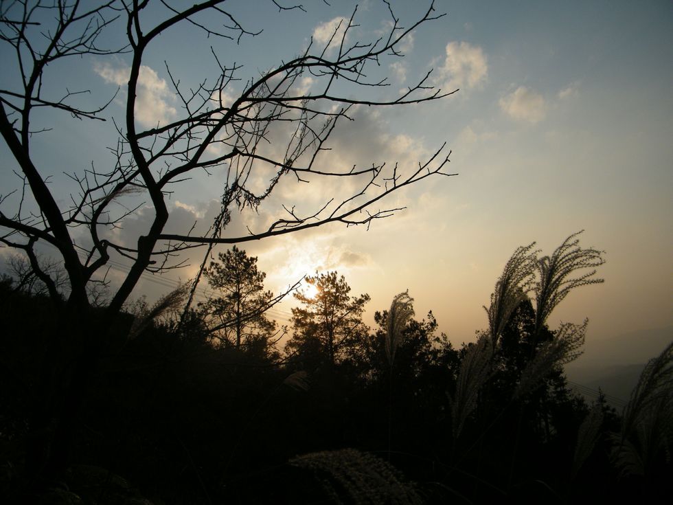 DSCF5415.JPG