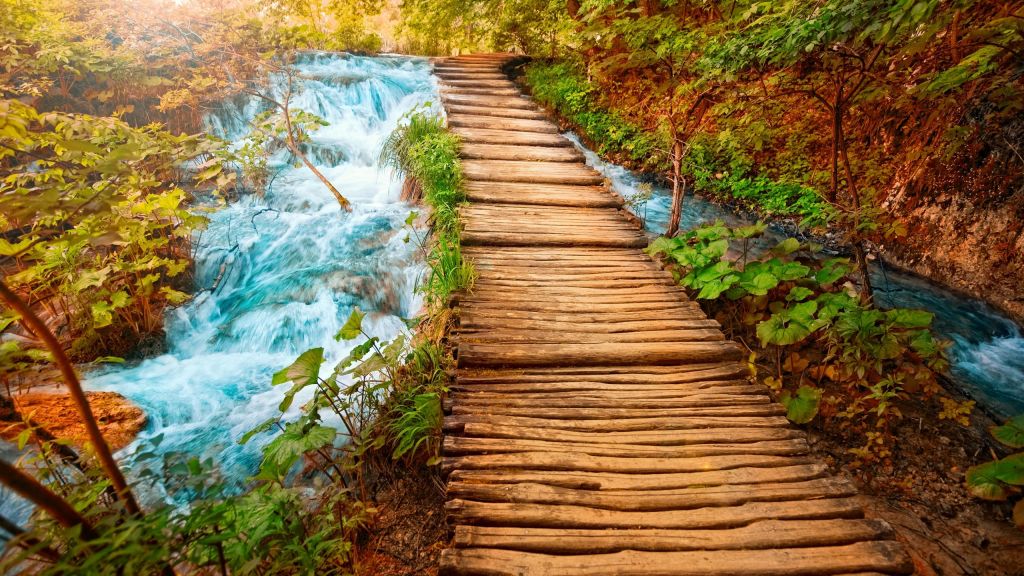 woodenpath2560x1440wallpaper5590.jpg