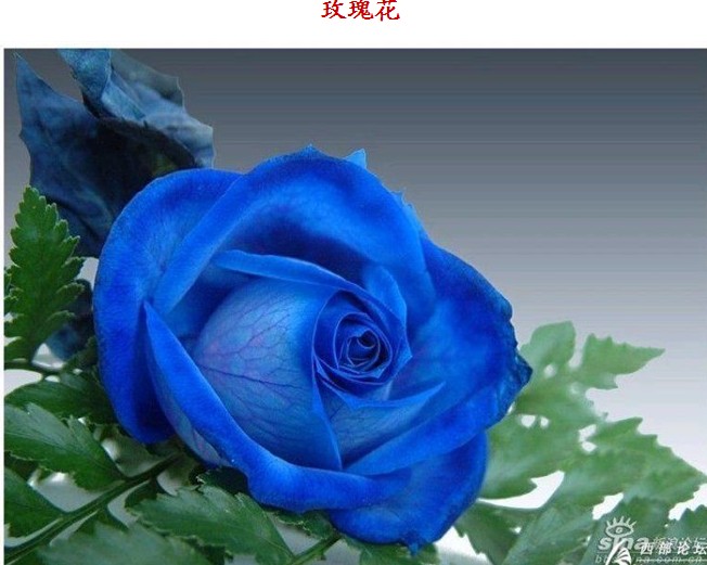 1RQO%Q0~9~G)T`ZVN3[`ECS.jpg