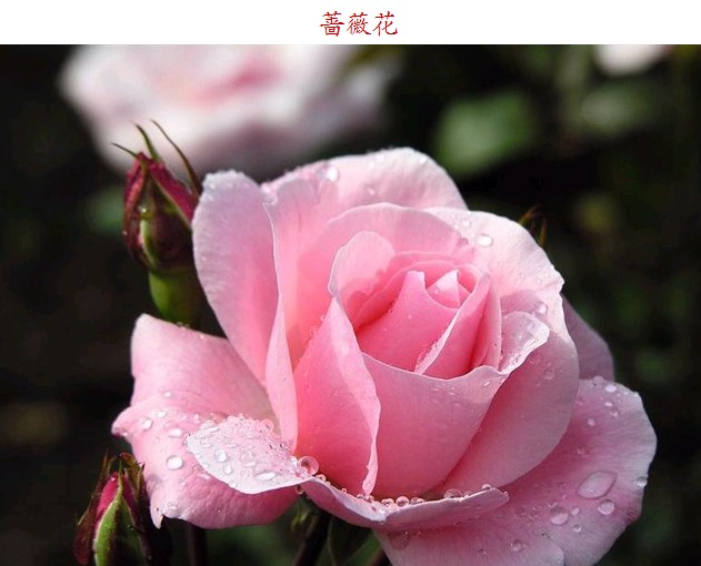 3Q~9AHW5_(}HSX()30_(U.jpg