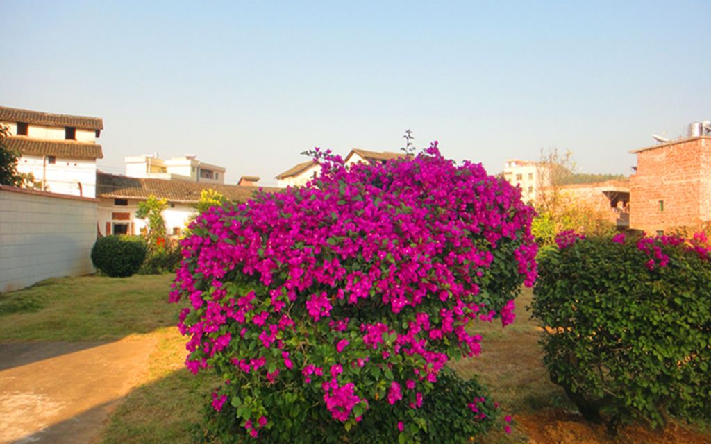 DSC00052_.jpg