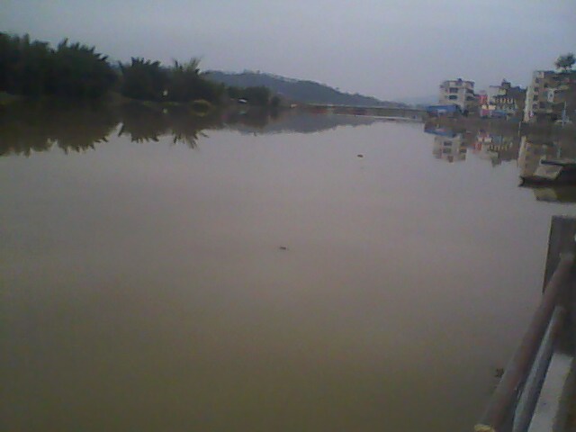 IMG0794A.jpg