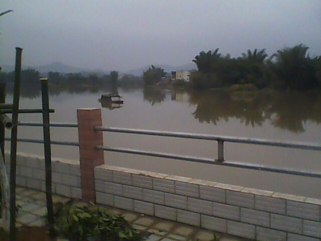 IMG0780A.jpg