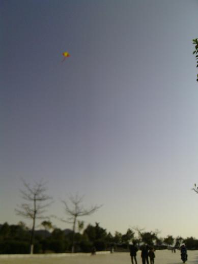 IMG_20121231_150954.jpg