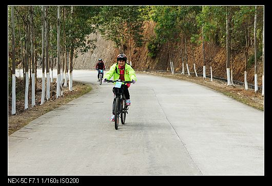 DSC05346.jpg
