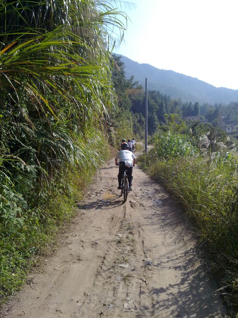 20111120579.jpg
