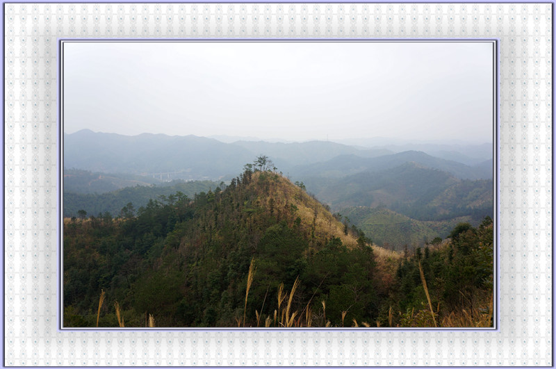 DSC00109.jpg