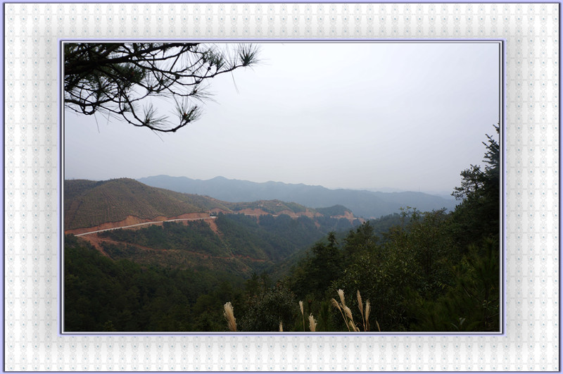 DSC00015.jpg