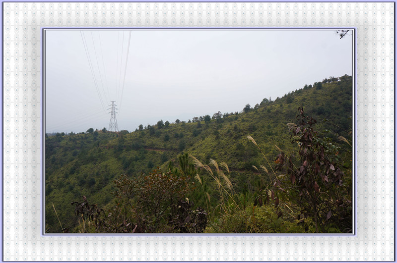 DSC00030.jpg