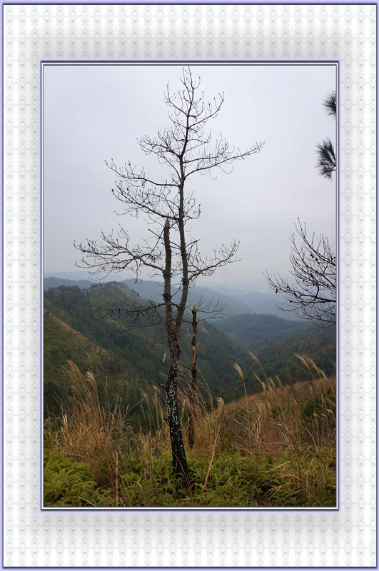 DSC00082.jpg