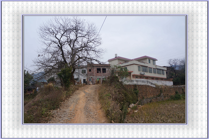 DSC00216.jpg