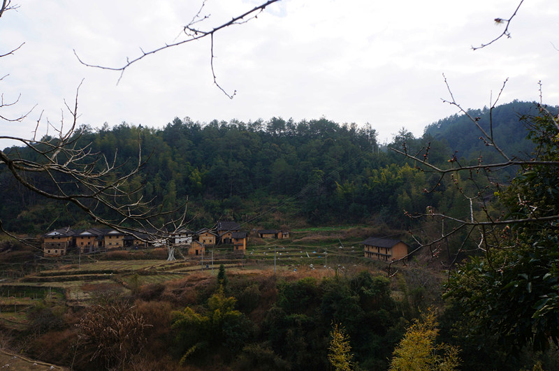 DSC02788.JPG