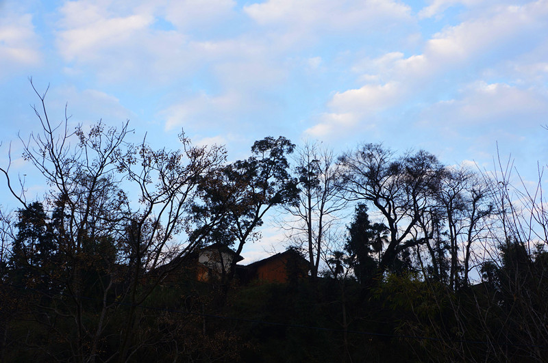 DSC02861.JPG
