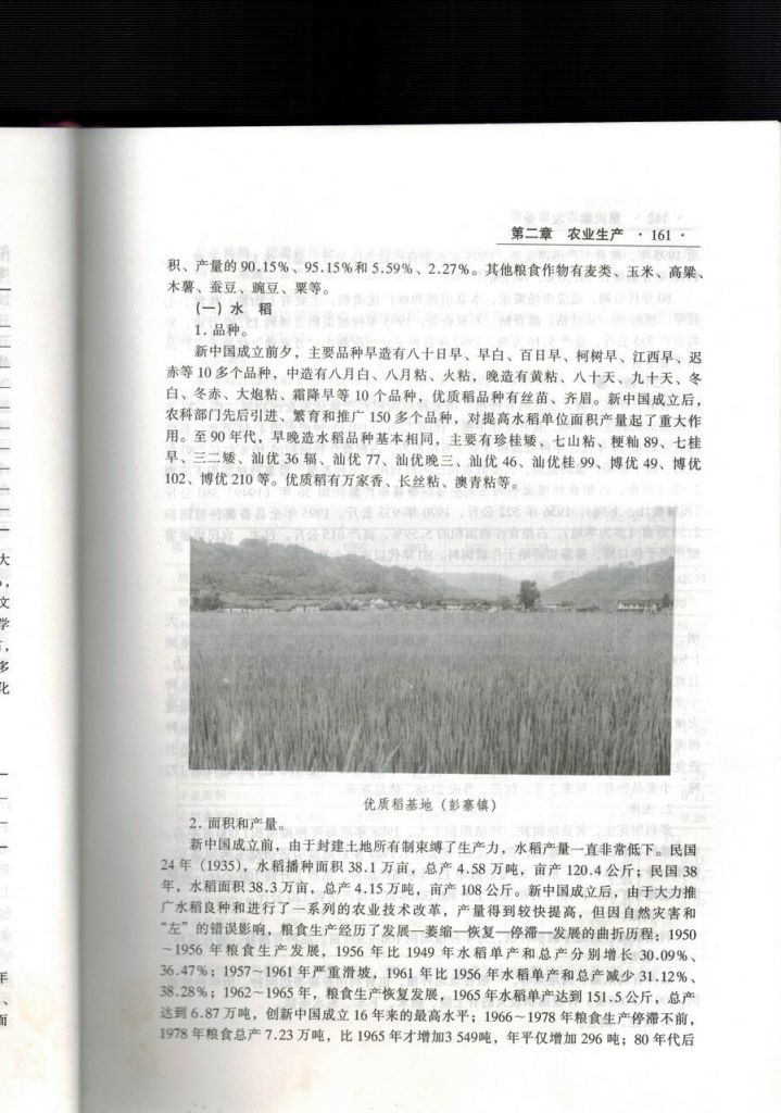 161.jpg