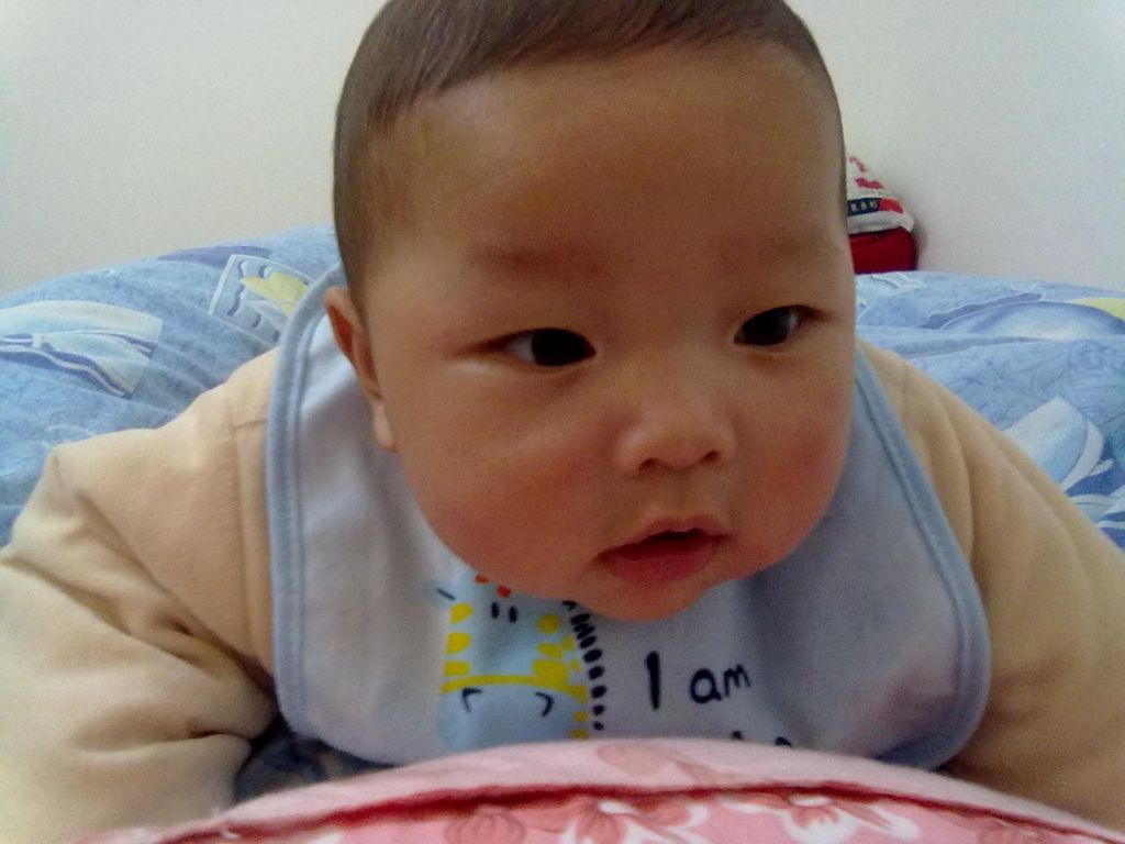 20130212323.jpg
