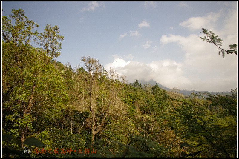 IMGP3739.jpg