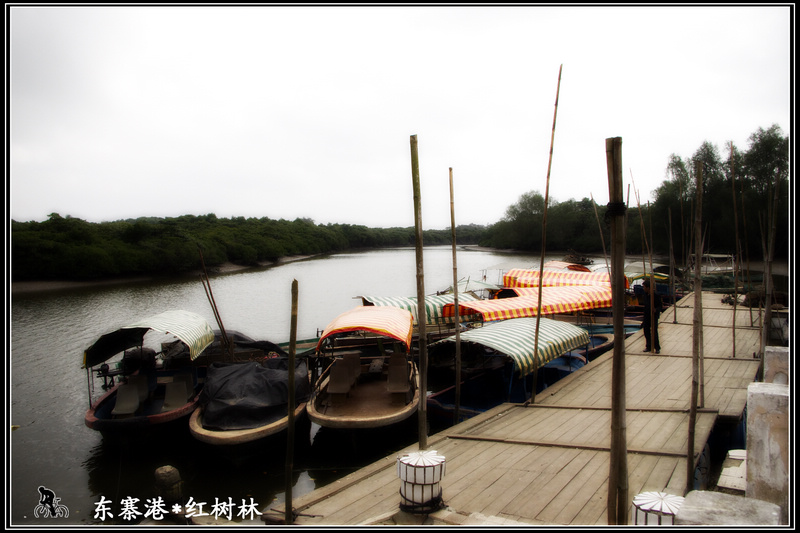 IMGP2916.JPG