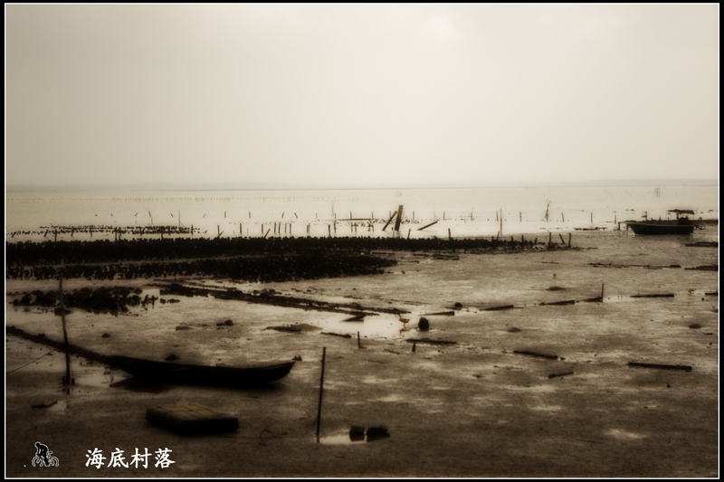 IMGP2937.jpg