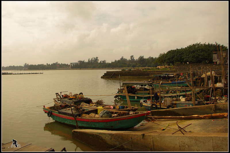 IMGP2943.jpg