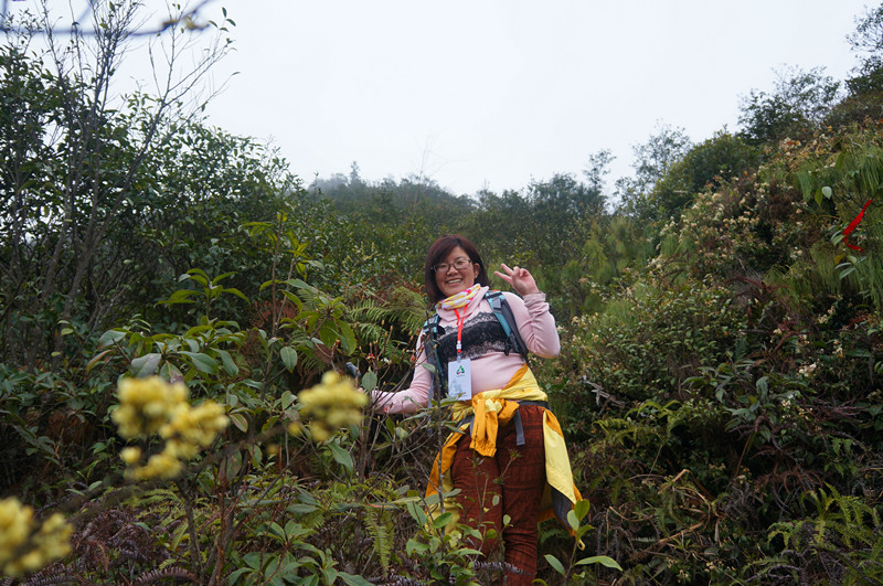 DSC07371.jpg