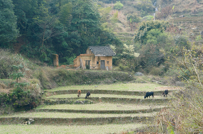 DSC07974.jpg