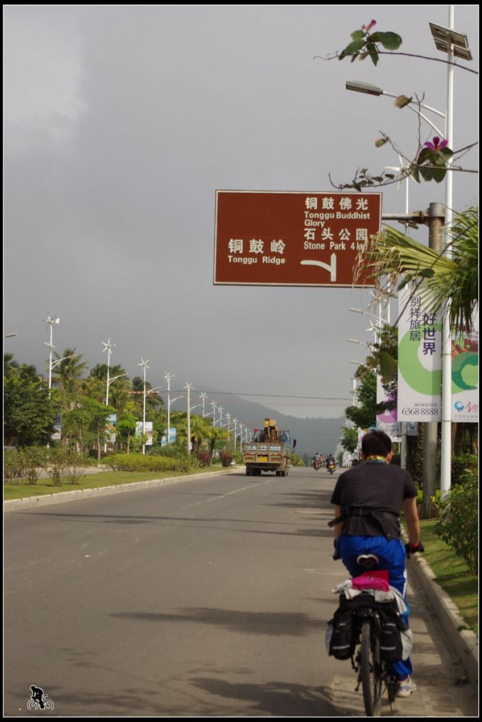 IMGP3114.jpg