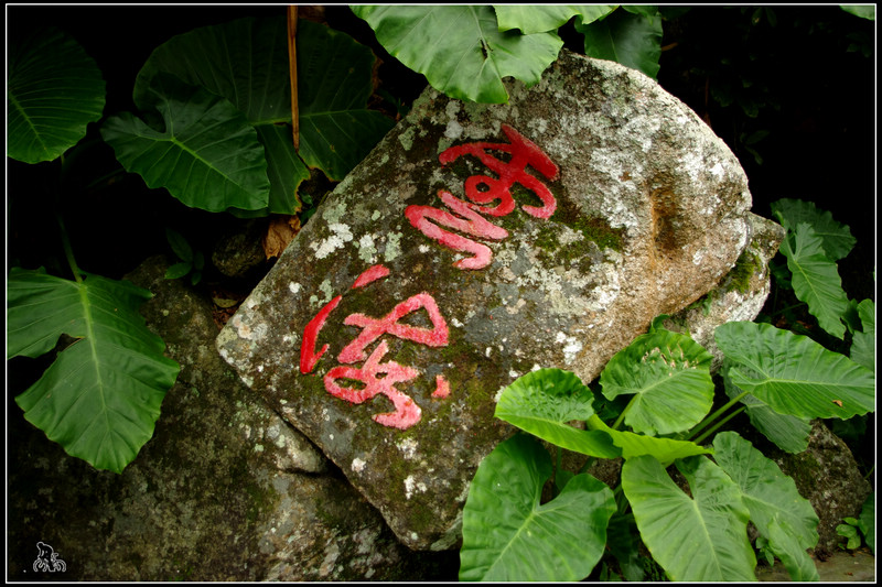 IMGP3131.jpg