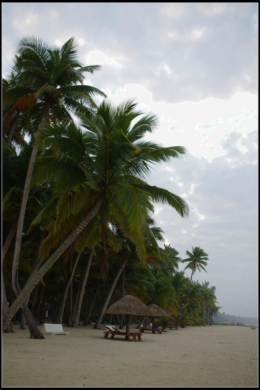 IMGP3281.jpg