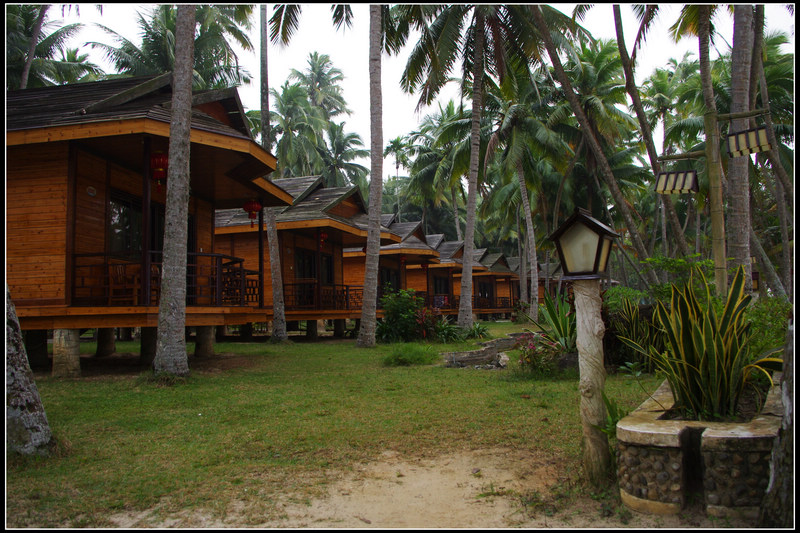 IMGP3283.jpg