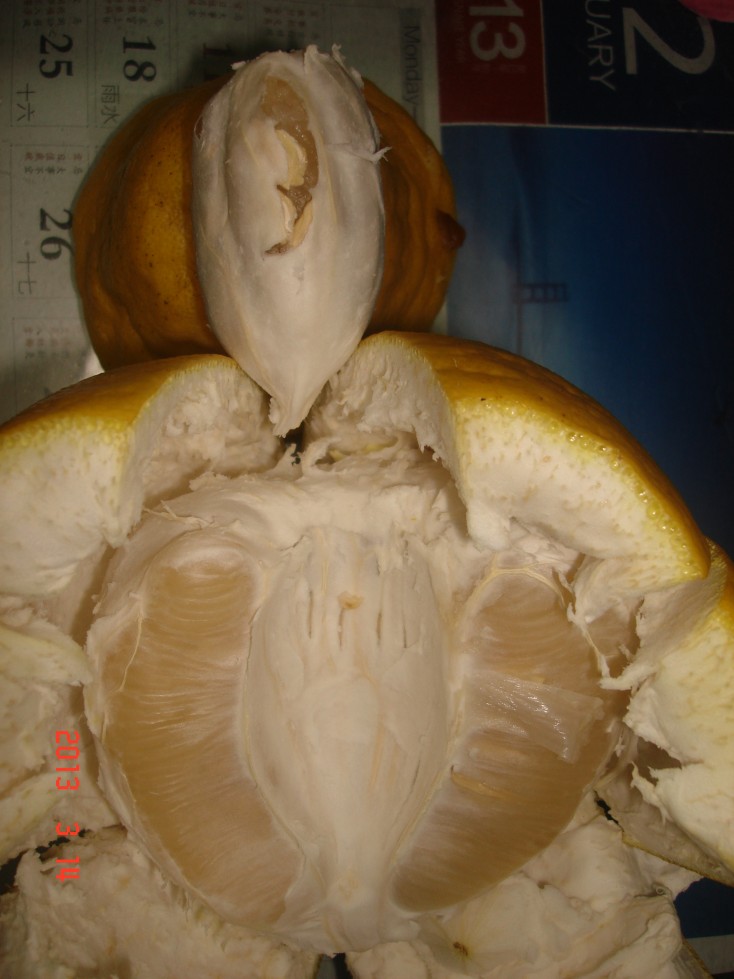 conew_dsc00348.jpg
