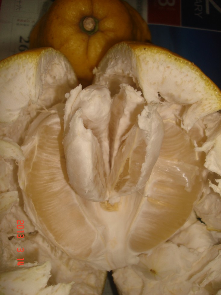 conew_dsc00350.jpg