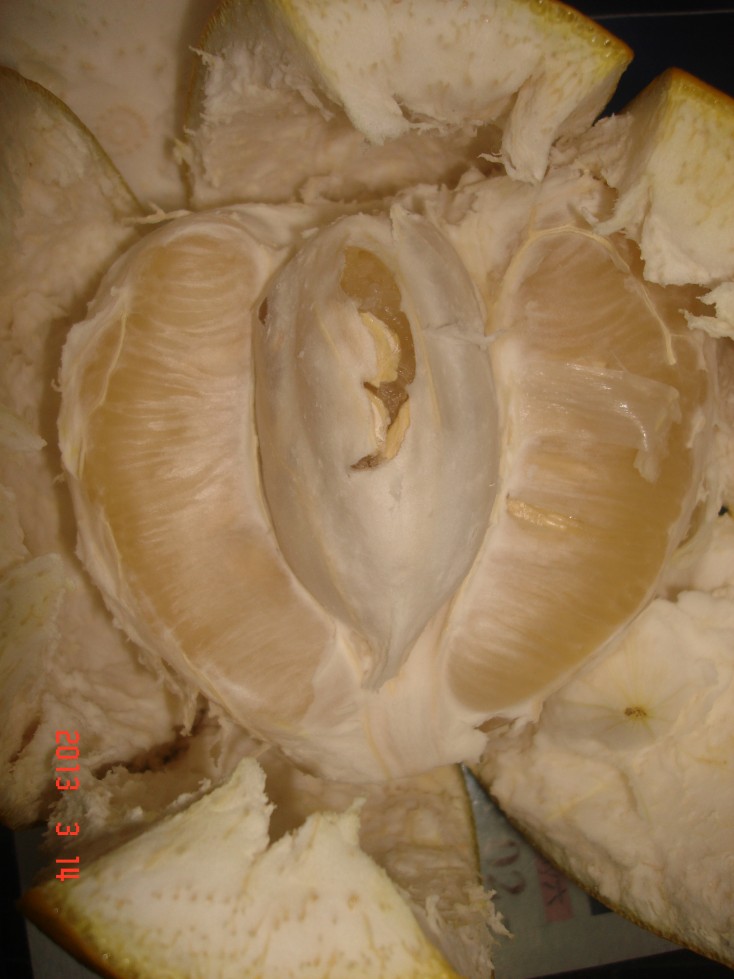 conew_dsc00344.jpg